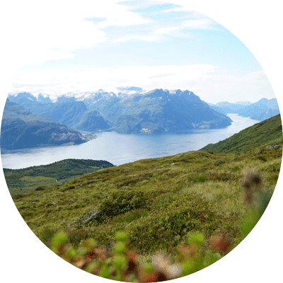 Institusjon og bedrift