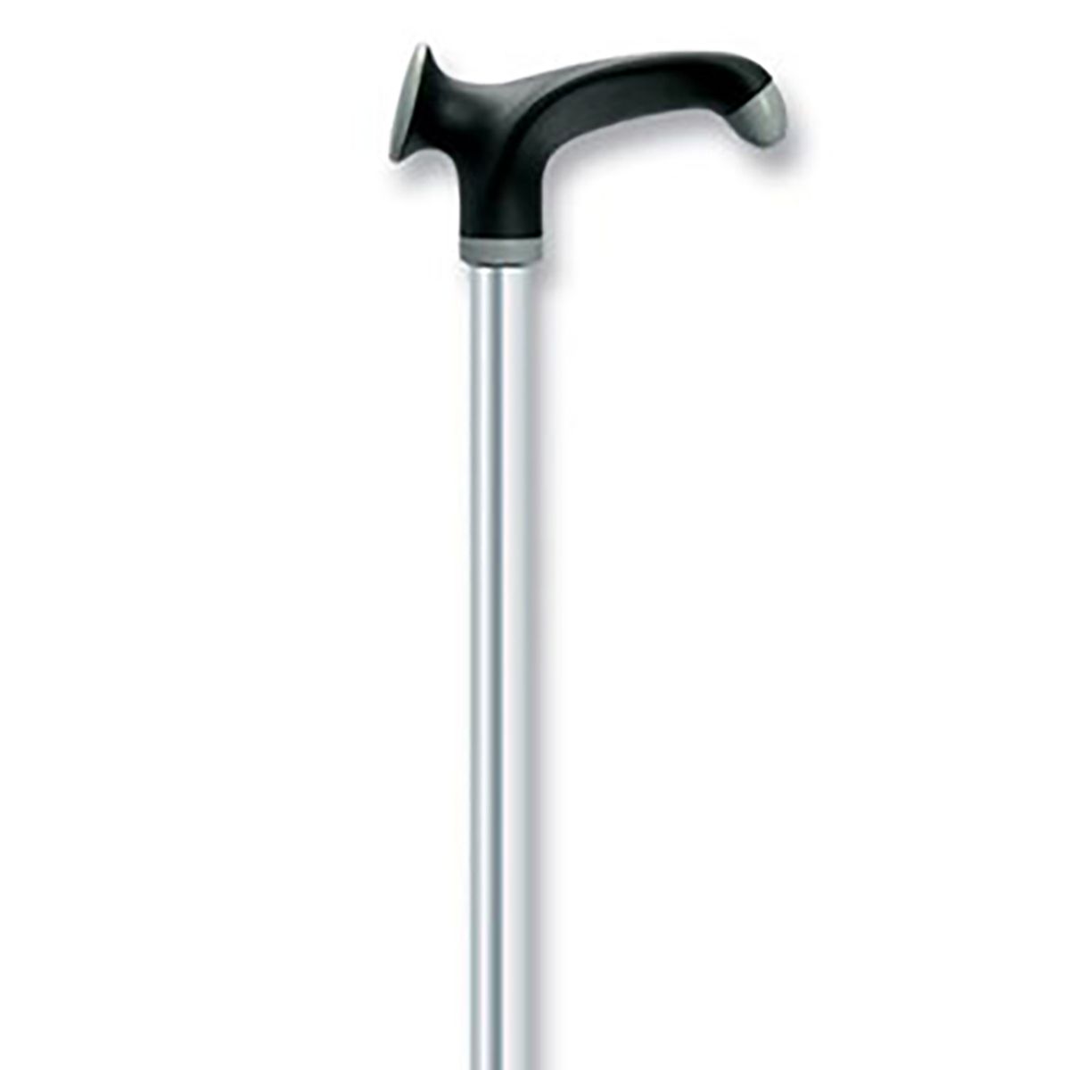 Stokk Anatomisk bestillingsvare